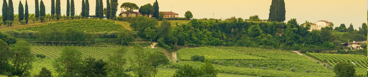 Prosecco - Olasz proseccok egyenesen Olaszországból