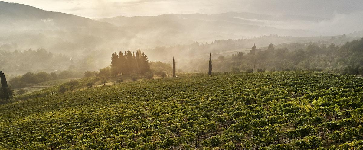 Toszkána, Chianti - Mindenki szerelme, gyönyörű szőlőültetvények