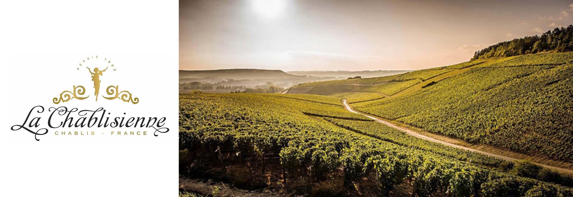 Francia Borok-Chardonnay - Chablis - La Chablisienne Boraszat