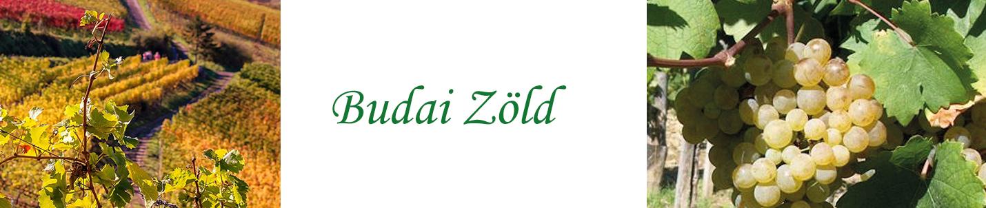 Budai Zöld borok - Budai Zöld szőlő